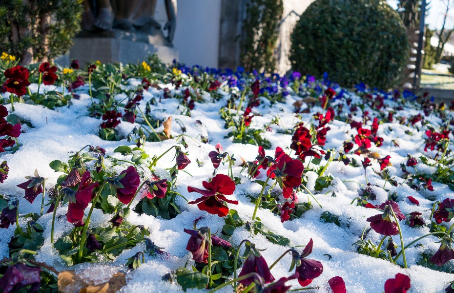 atraitnites florina katedrale ziema lihtensteina vaduca ziemassvetki