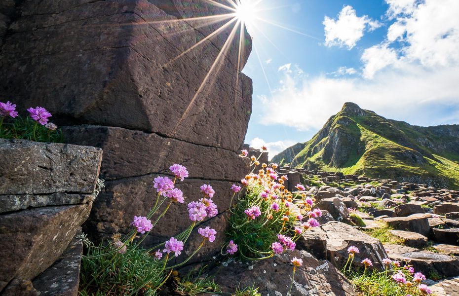 rīts pie giants causeway