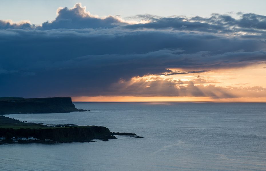 saulriets ziemeļīrijā