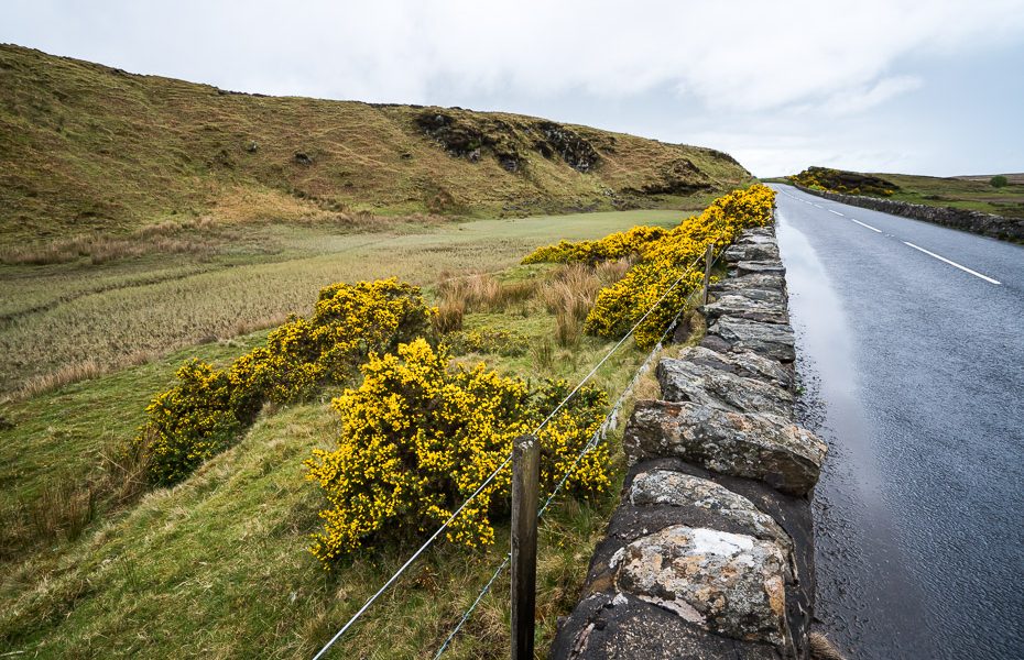 skaistā daba īrijā