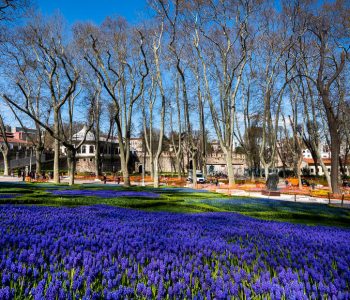 Sapņu mednieces Facebook lapa