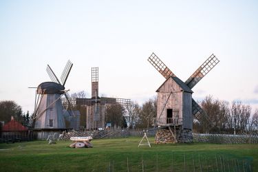 anglas parks