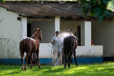 izjādes ar zirgiem argentīnā