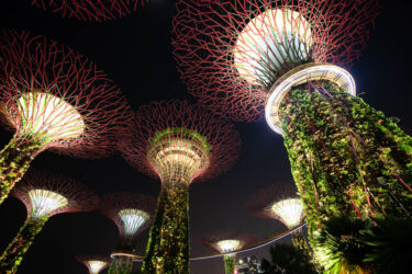 Līča dārzi Gardens by the bay Sinagpūrā