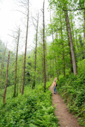 Mitrala nacionālais parks Batumi