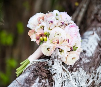 Ligavam.lv: Kāzas Seišelu salās