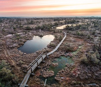 Skats.lv: 15 neticami skaisti skati no Ķemeru purva
