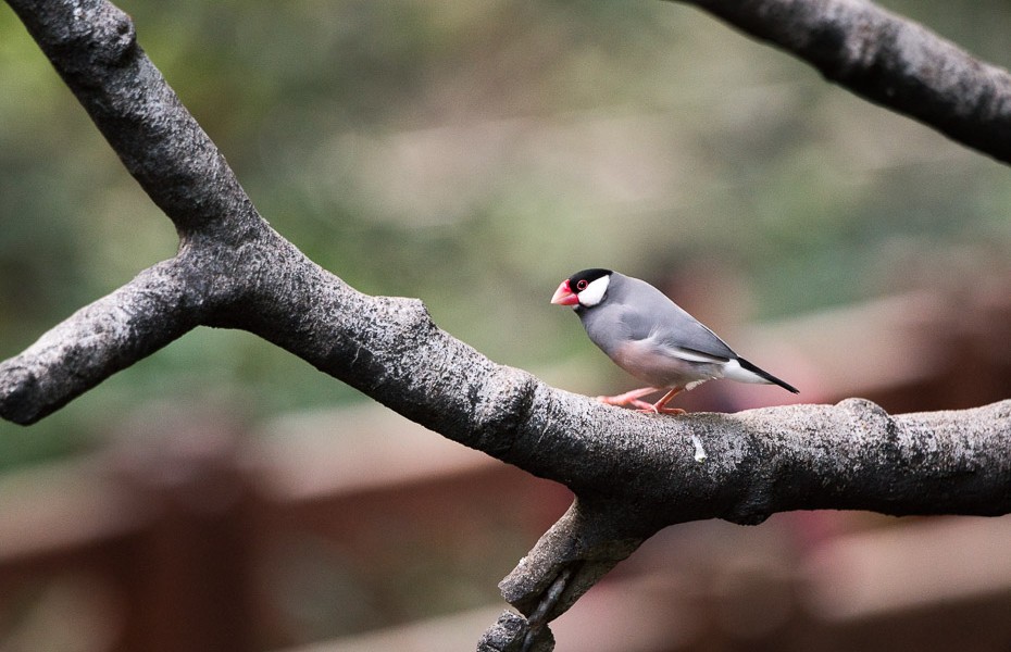 02499-DSC03635