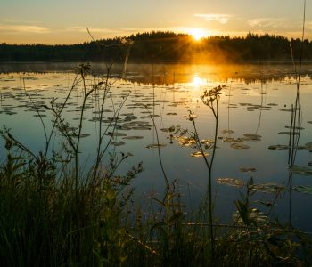 30 labākās apskates vietas un 10 naktsmītnes Latgalē