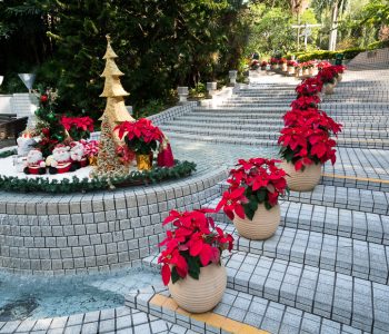 Kā Ziemassvētkus svin Ķīnā?