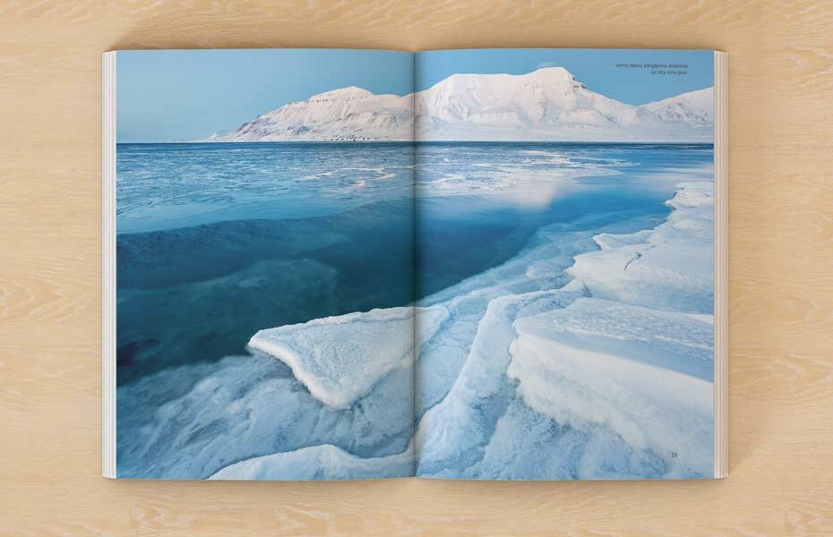 Grāmata “Sapņu mednieku ceļojums: sasniedzot jaunas virsotnes”